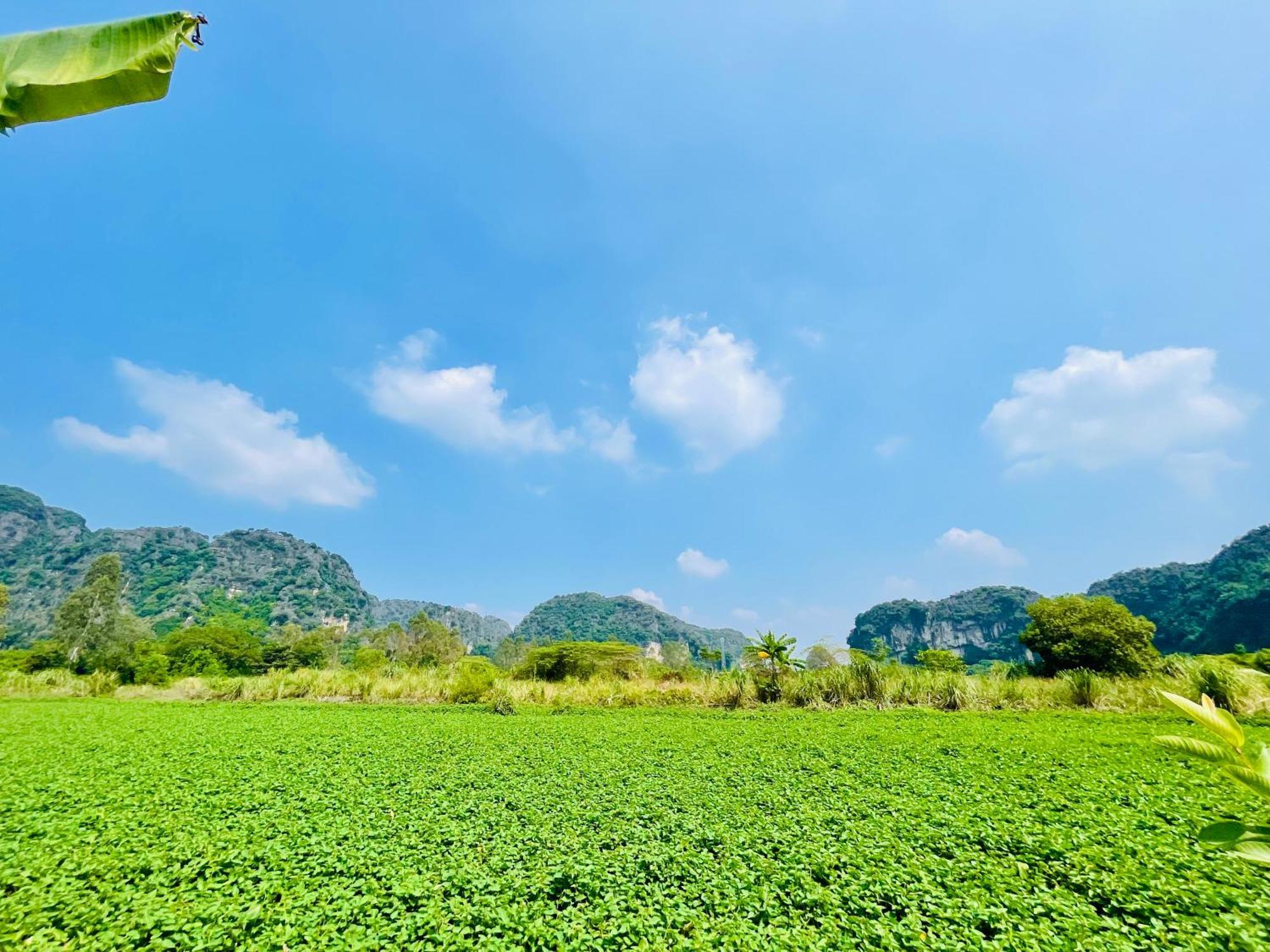 Trang An Lotus Lake Homestay Ninh Binh Exteriér fotografie