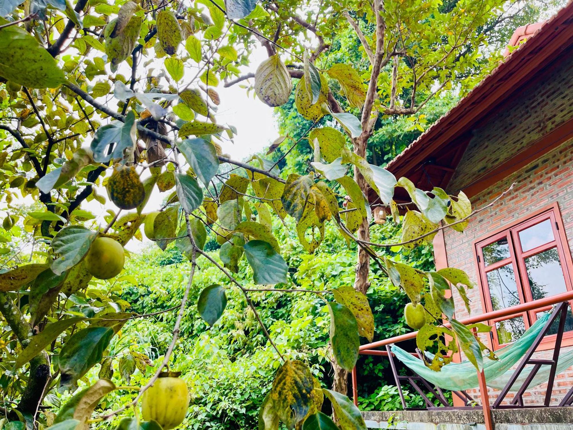 Trang An Lotus Lake Homestay Ninh Binh Exteriér fotografie