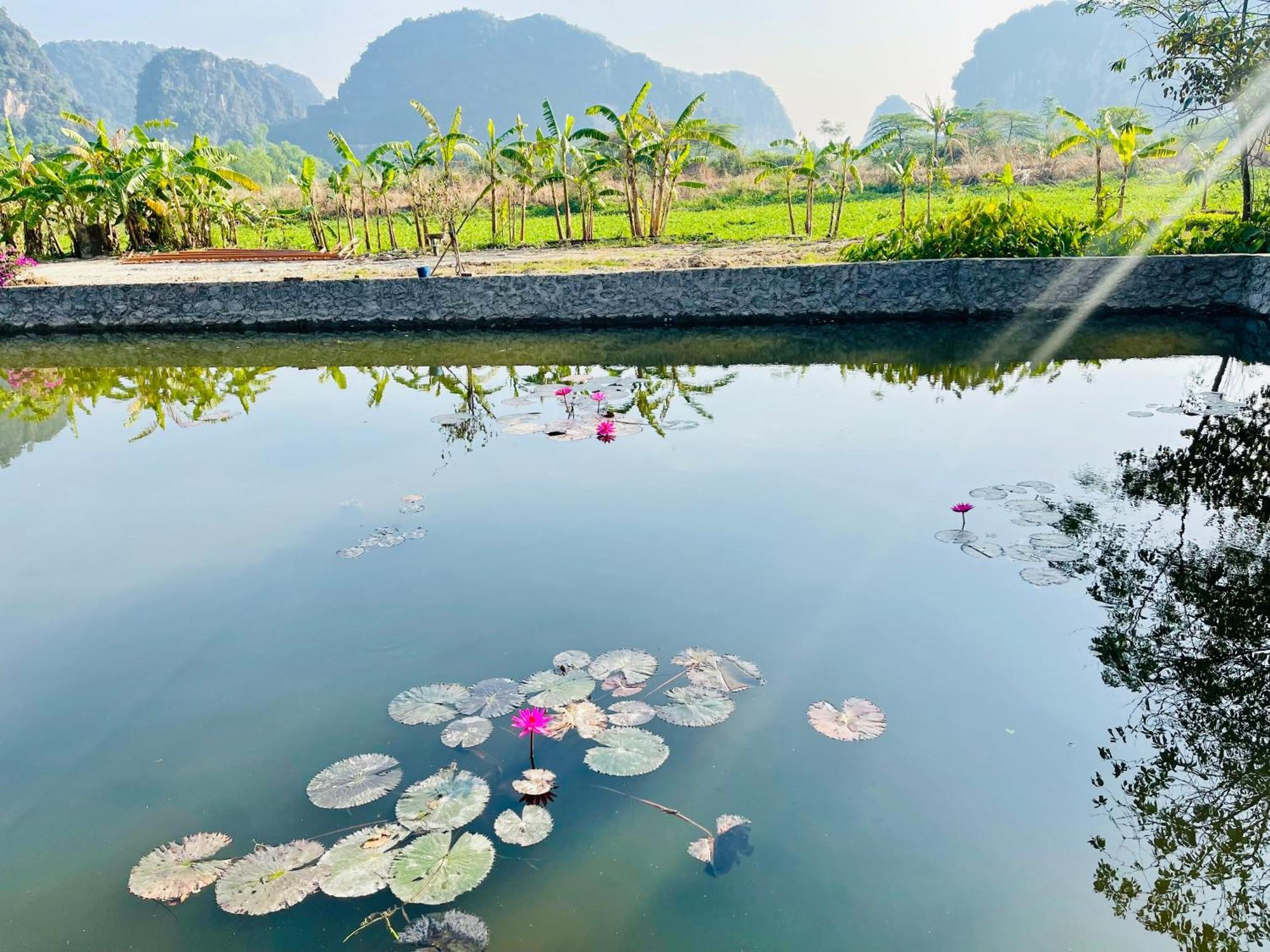 Trang An Lotus Lake Homestay Ninh Binh Exteriér fotografie